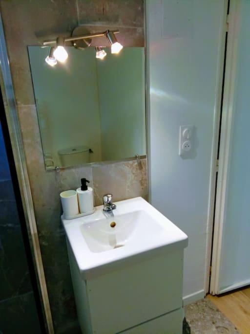 Charmant Loft Avec Jardin Pres Du Centre Ville Αμπουάζ Εξωτερικό φωτογραφία