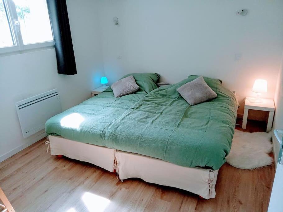 Charmant Loft Avec Jardin Pres Du Centre Ville Αμπουάζ Εξωτερικό φωτογραφία